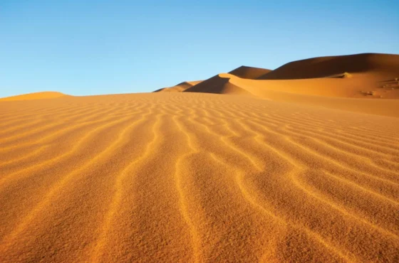 Desierto del Sáhara