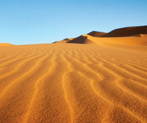 Desierto del Sáhara
