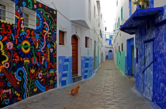 Festival des Arts d’Asilah 2027 – Maroc
