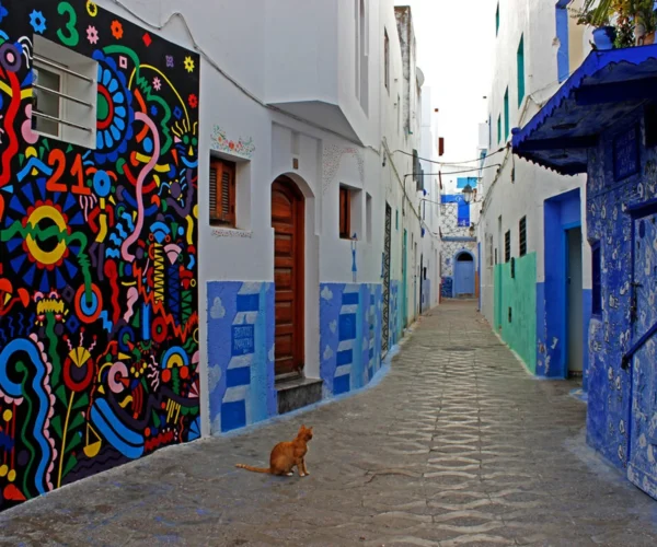 Festival des Arts d’Asilah 2027 – Maroc